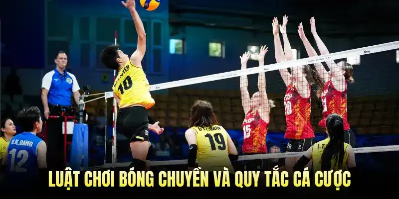 Luật chơi Bóng Chuyền và quy tắc cá cược
