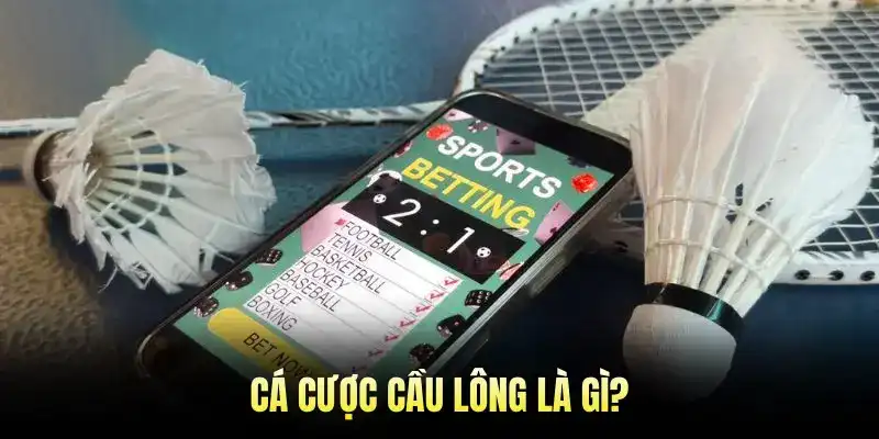 Cá cược cầu lông là gì?
